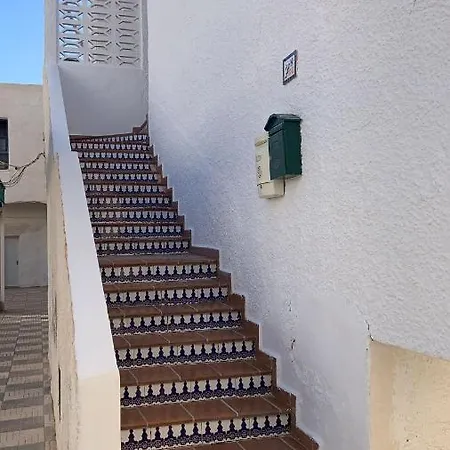Buganvilla